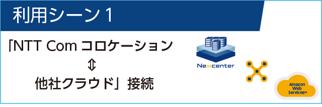 利用シーン１NTT Comコロケーション↔︎他社クラウド接続