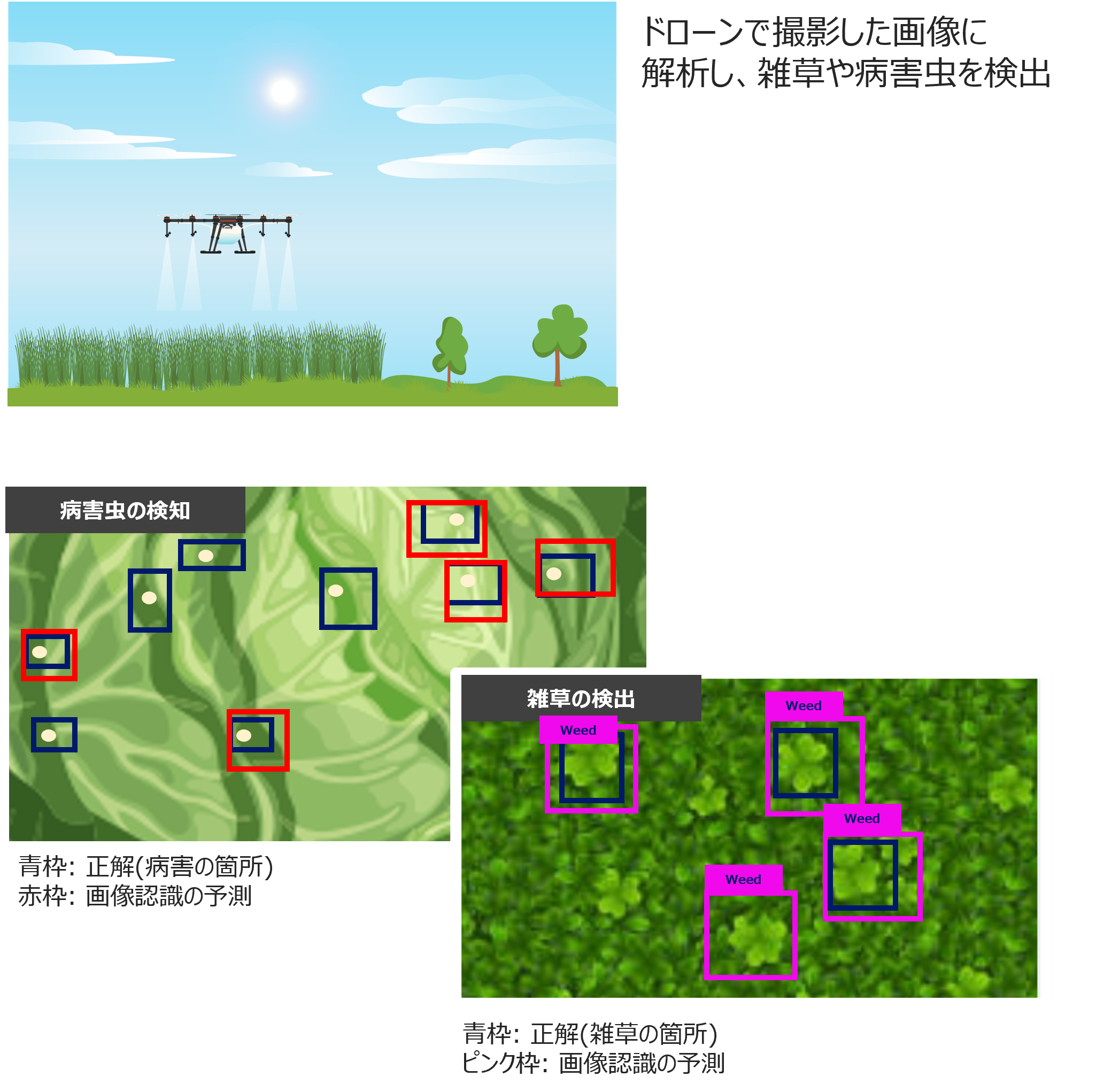 ユースケース雑草・病害虫検知