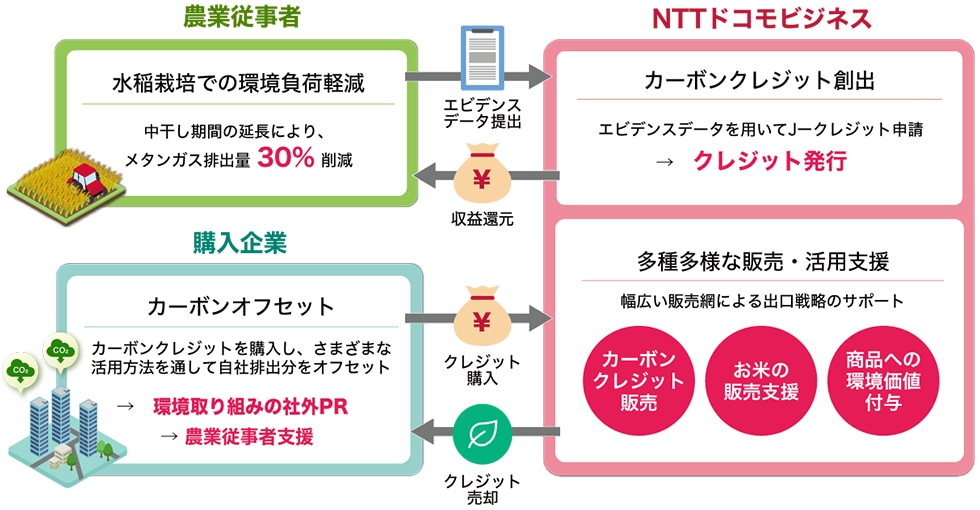 Green Natural Creditのビジネスモデル図。「農業従事者」「NTTドコモビジネス」「購入企業」の3つのステークホルダで取り組みを広げており、それぞれ以下の役割を果たすことを表している。農業従事者：水稲栽培での環境負荷軽減（中干し期間の延長）を行うことで水稲栽培におけるメタンガスの排出量を30%削減するNTTドコモビジネス：農業従事者が提出した、中干し期間延長のエビデンスをもとにJ-クレジットの申請を行い、申請により発行されたクレジットの販売を行う。また中干し期間延長によって栽培されたお米の販売支援や、環境価値を付与した商品としての販売も行い、そこで得た収益の一部は農業従事者へ還元する。購入企業：NTTドコモビジネスからカーボンクレジットを購入することで、自社オフセットを実現する。またGreenNaturalCreditの取り組みを通じて社外へのPRや農業従事者の支援を行う。