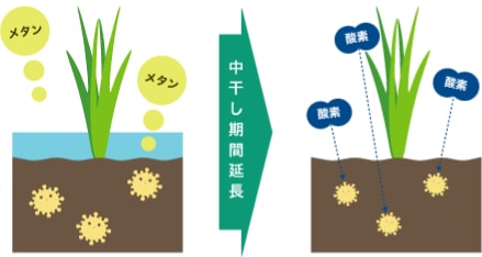中干期間延長により土壌中のメタン活動が抑えられる様子のイラスト