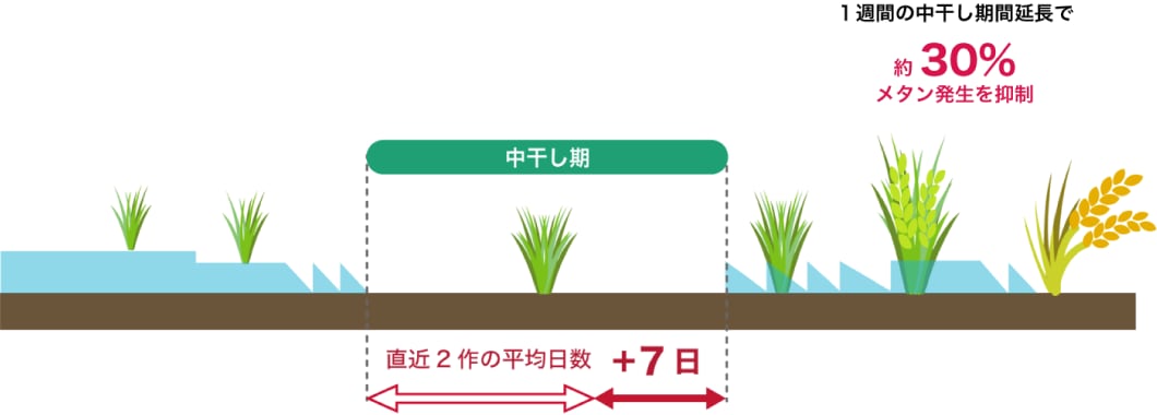 中干期間延長により土壌中のメタン活動が抑えられる様子のイラスト