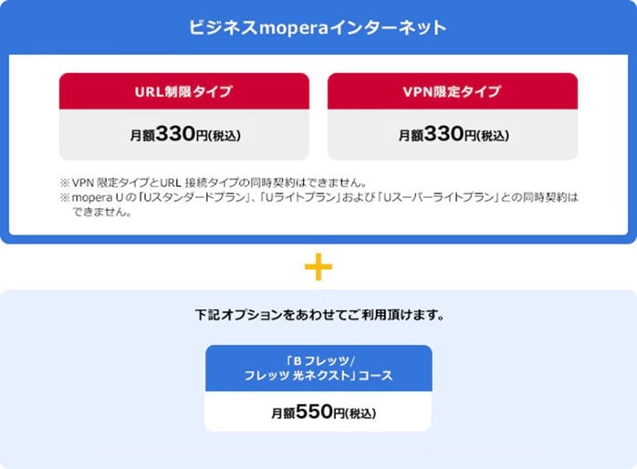 URL制限タイプ／VPN限定タイプ オプション