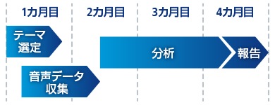 1カ月目:テーマ選定、音声データ収集 2カ月目~3カ月目:分析 4カ月目:報告