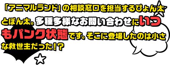 「アニマルランド」の相談窓口を担当するぴょん太とぽん太。多種多様なお問い合わせにいつもパンク状態です。そこに登場したのは小さな救世主だった！？