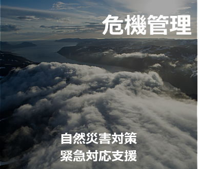 危機管理　自然災害対策　緊急対応支援