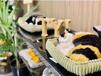 株式会社TYL 画像