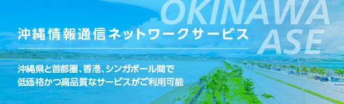 沖縄情報通信ネットワークサービス