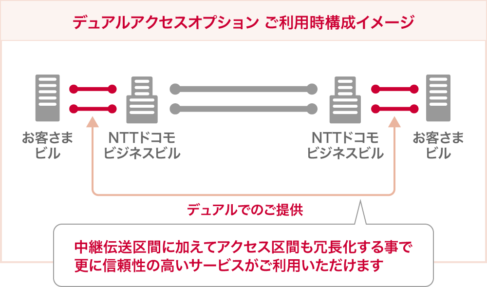 デュアルアクセスオプション ご利用時構成イメージ