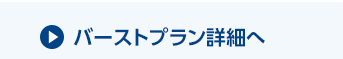 バーストプラン詳細へ
