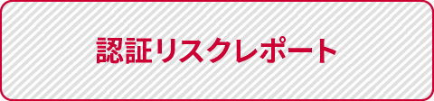 認証リスクレポート