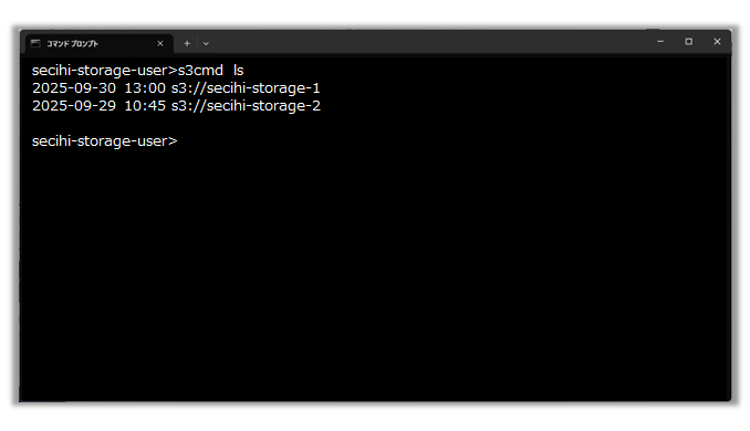 析秘 STORAGEのS3互換API実行時の画面キャプチャ