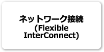 ネットワーク接続（Flexible InterConnect）