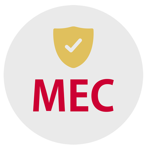 MECサーバーへのダイレクトアクセス　イメージアイコン