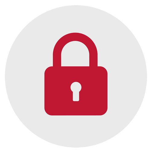 閉域性による高セキュリティ　イメージアイコン