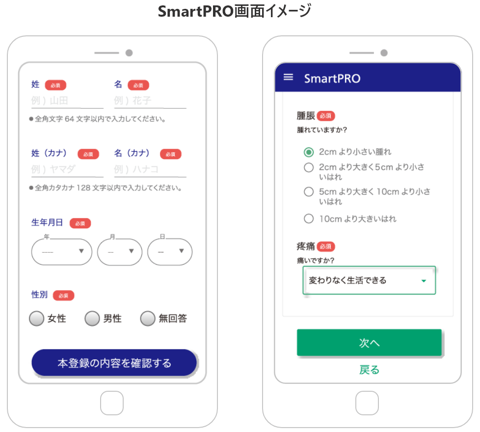 SmartPRO画面イメージ わかりやすい入力画面 かんたんな回答画面