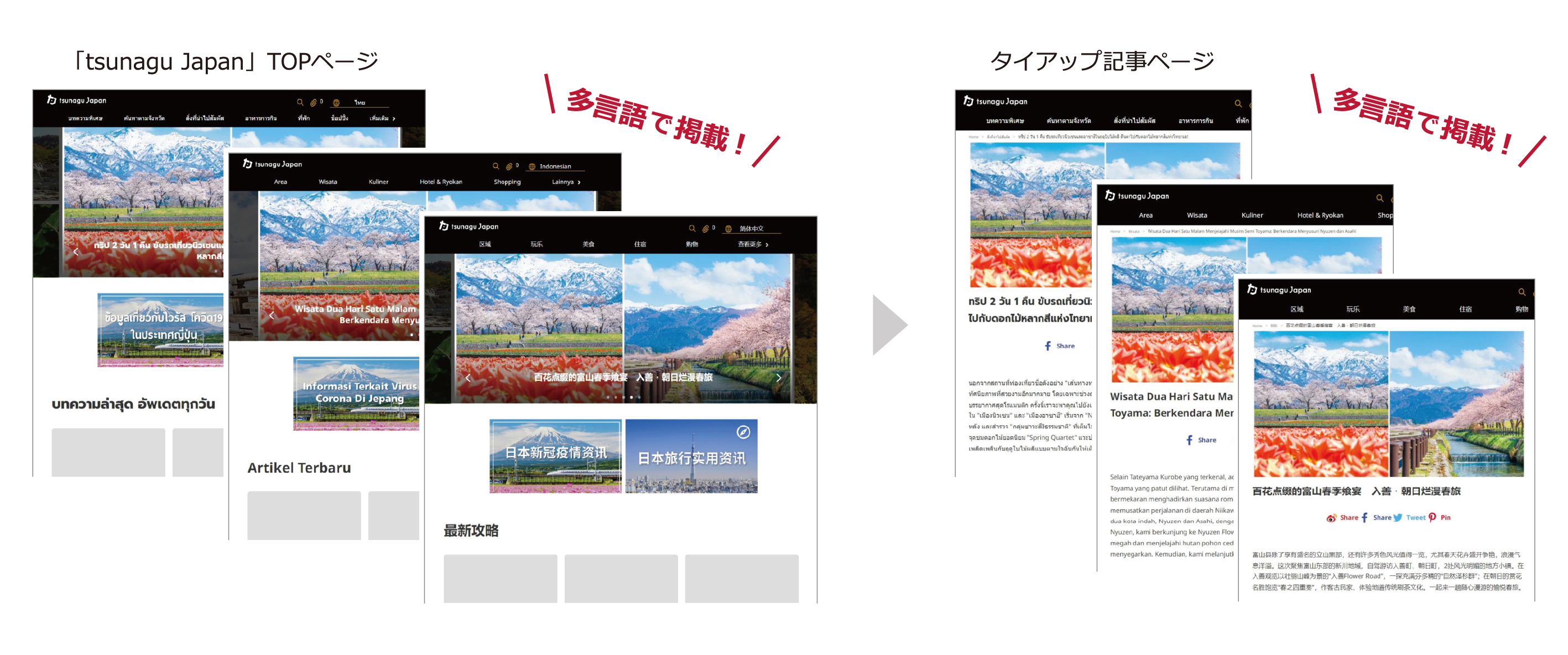「tsunagu Japan」とは