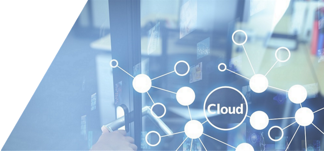 WPS Cloud Pro