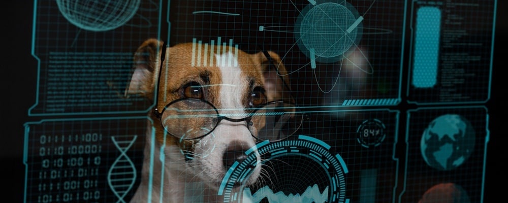 Datadogとは?IT監視ツールの機能や価格、類似サービスを比較解説