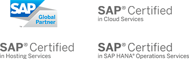 SAP Global Partner