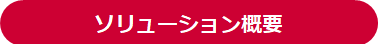 ソリューション概要