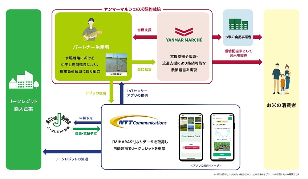ヤンマーとの取り組み