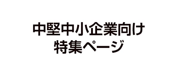 中堅中小企業向け特集ページの画像