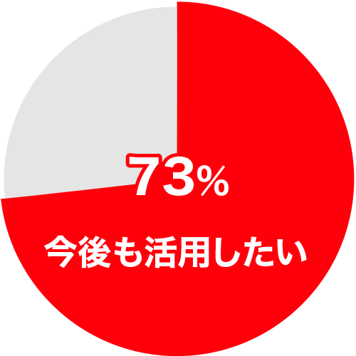 導入効果