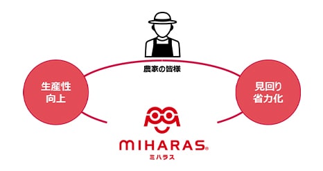 miharas