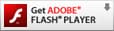 Get ADOBE FLASH PLAYER