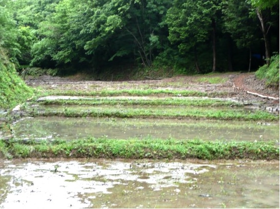 田植え前の棚田