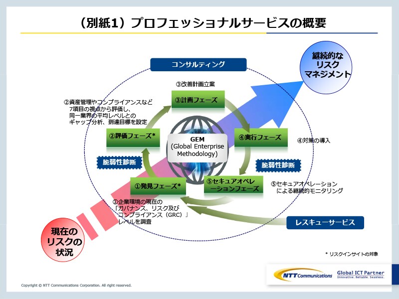 （別紙1）プロフェッショナルサービスの概要
