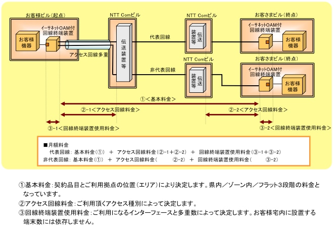 （２）ポイント・ツー・マルチポイント接続（アクセス回線多重サービス利用）の場合