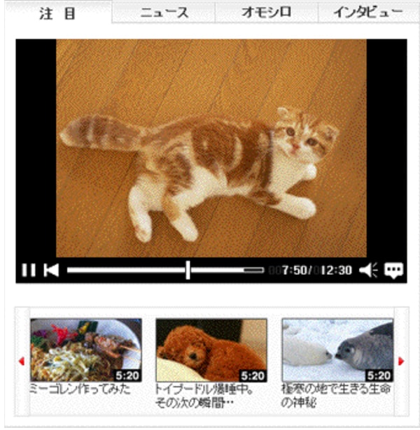 別紙5　動画エリア