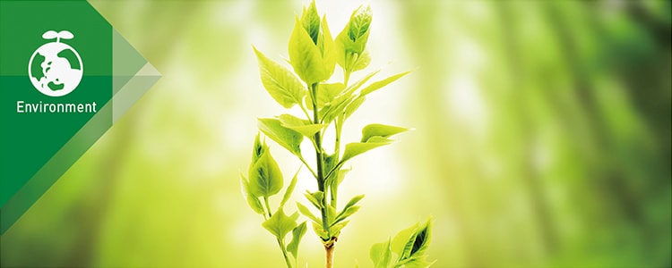 Contributions to the Global Environment Contributions to the Global Environment