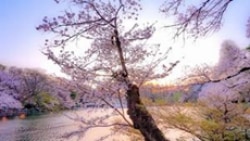 フォトコンテスト 審査員特別賞