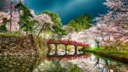 photocontest_02 フォトコンテスト CSR委員長賞
