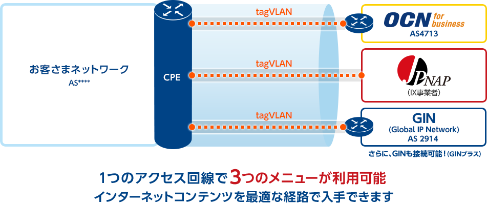 img_jpnap_02 1つのアクセス回線で3つのメニューが利用可能 インターネットコンテンツを最適な経路で入手できます